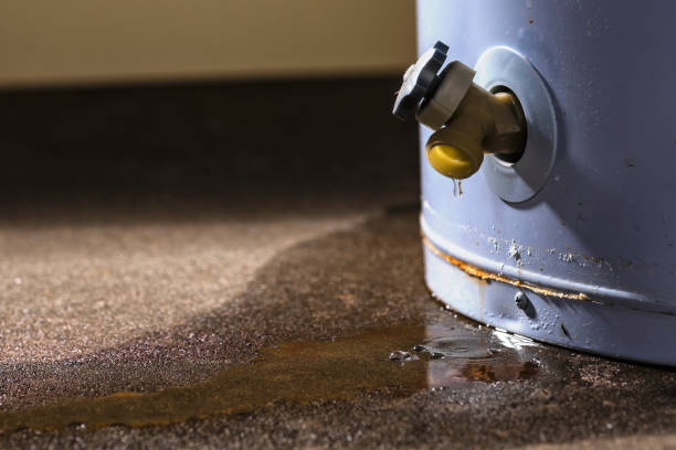 Best Commercial water damage restoration  in North Baltimore, OH