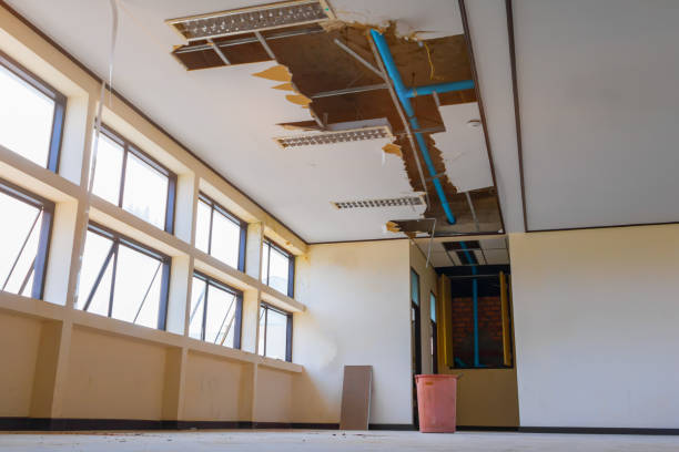 Best Residential water damage restoration  in North Baltimore, OH