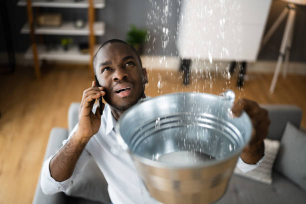 Best Water damage contractors near me  in North Baltimore, OH