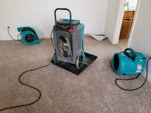 Reliable North Baltimore, OH Water damage restoration Solutions