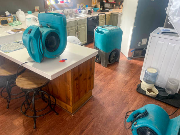 Best Basement water damage restoration  in North Baltimore, OH