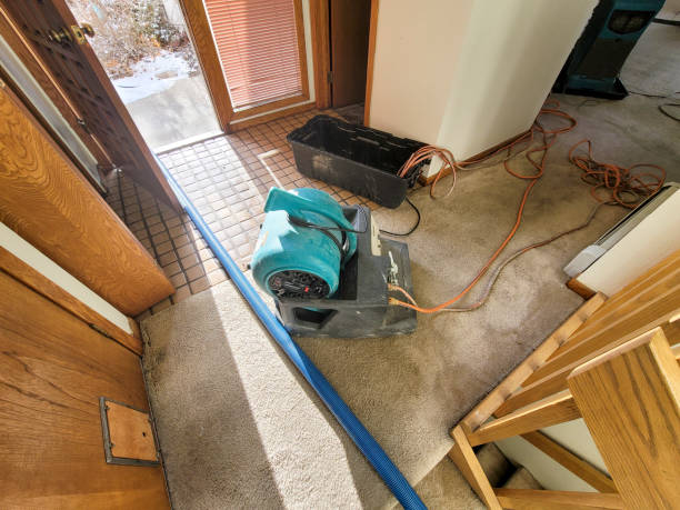 Best Residential water damage restoration  in North Baltimore, OH