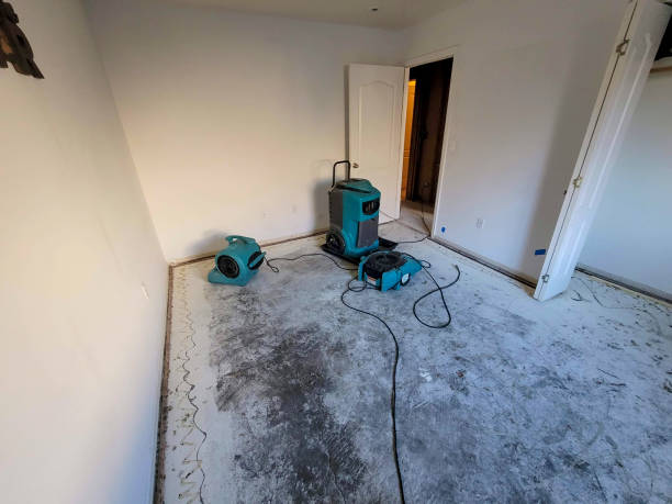 Best 24/7 water damage repair  in North Baltimore, OH