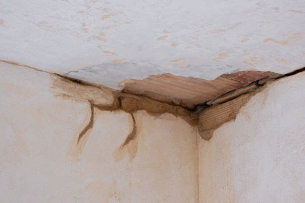 Best Water damage restoration near me  in North Baltimore, OH