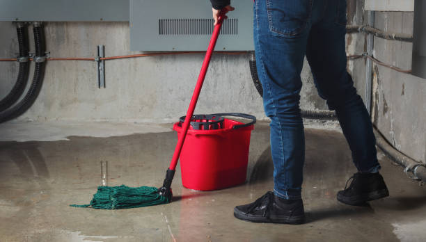 Trusted North Baltimore, OH Water damage restoration Experts
