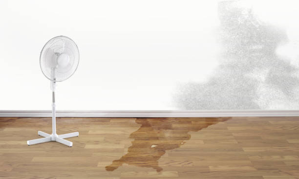 Best Emergency water damage restoration  in North Baltimore, OH
