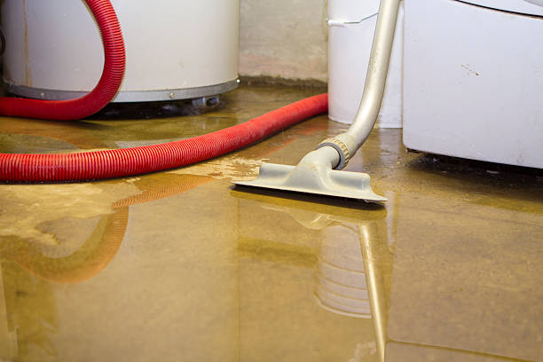 Best Water damage restoration company  in North Baltimore, OH