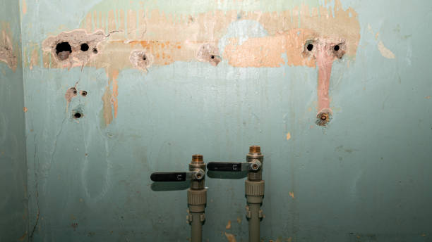 Best Flooded house restoration  in North Baltimore, OH