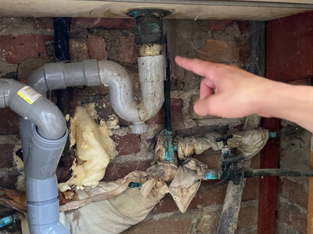 Best Water damage cleanup near me  in North Baltimore, OH
