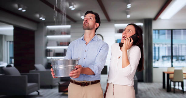 Best Professional water damage repair  in North Baltimore, OH