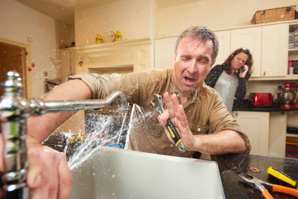 Best Water damage cleanup near me  in North Baltimore, OH